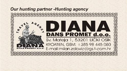 005_Diana-ZalovicMiso_Dans_promet